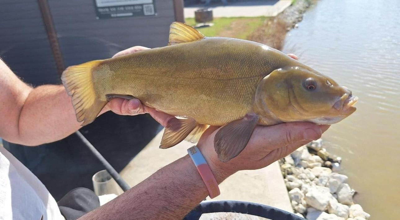 Lakeside Fishing Retreats Бостон Номер фото