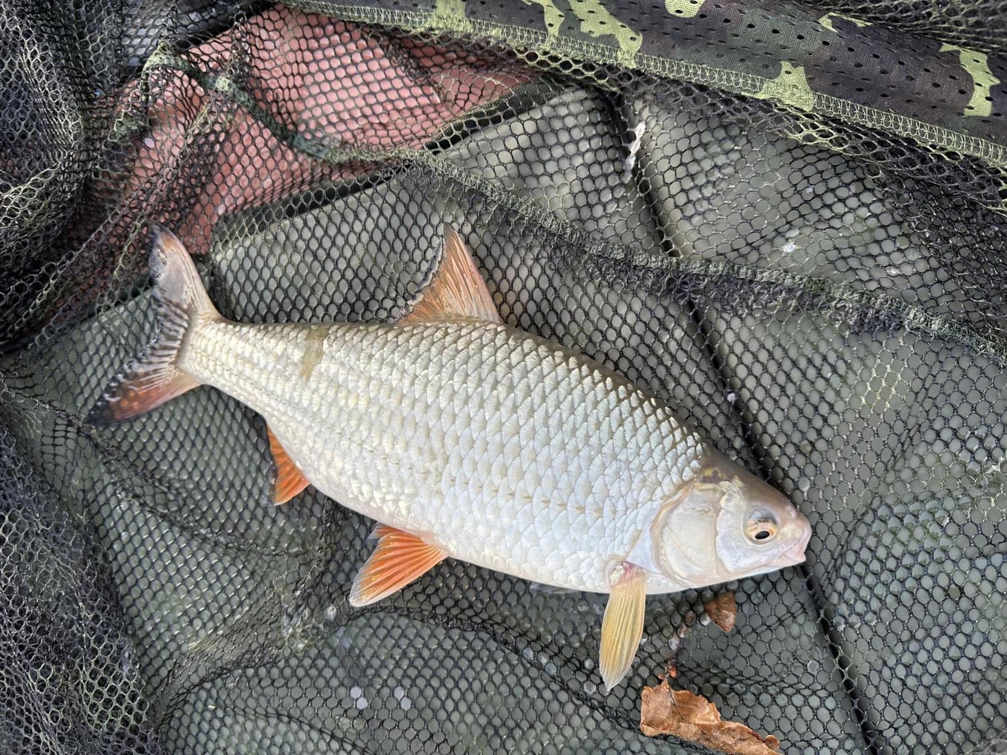Lakeside Fishing Retreats Бостон Номер фото